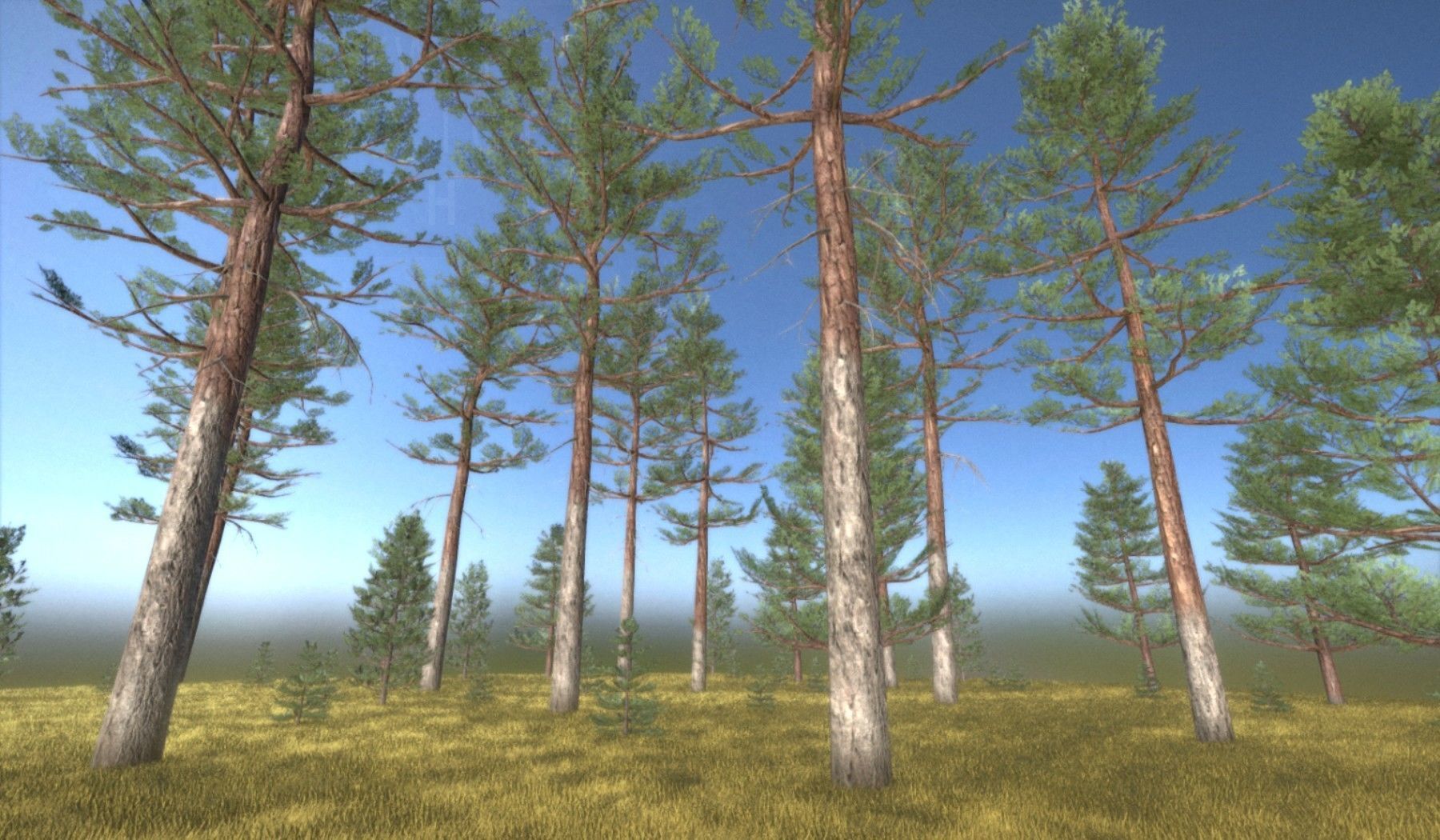Pine Forest Scene Low-poly 3D model_125