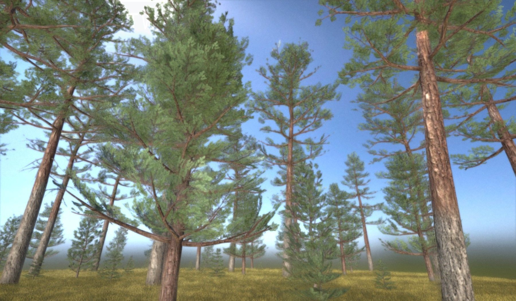 Pine Forest Scene Low-poly 3D model_7