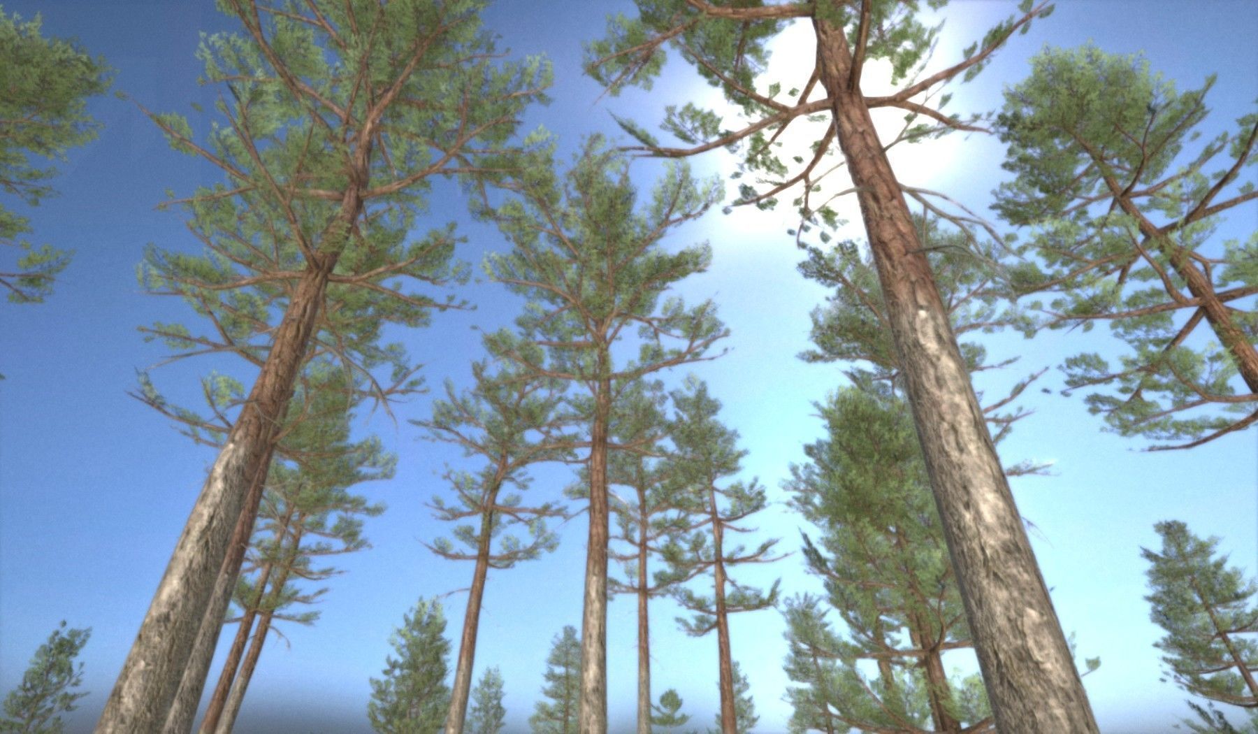 Pine Forest Scene Low-poly 3D model_91