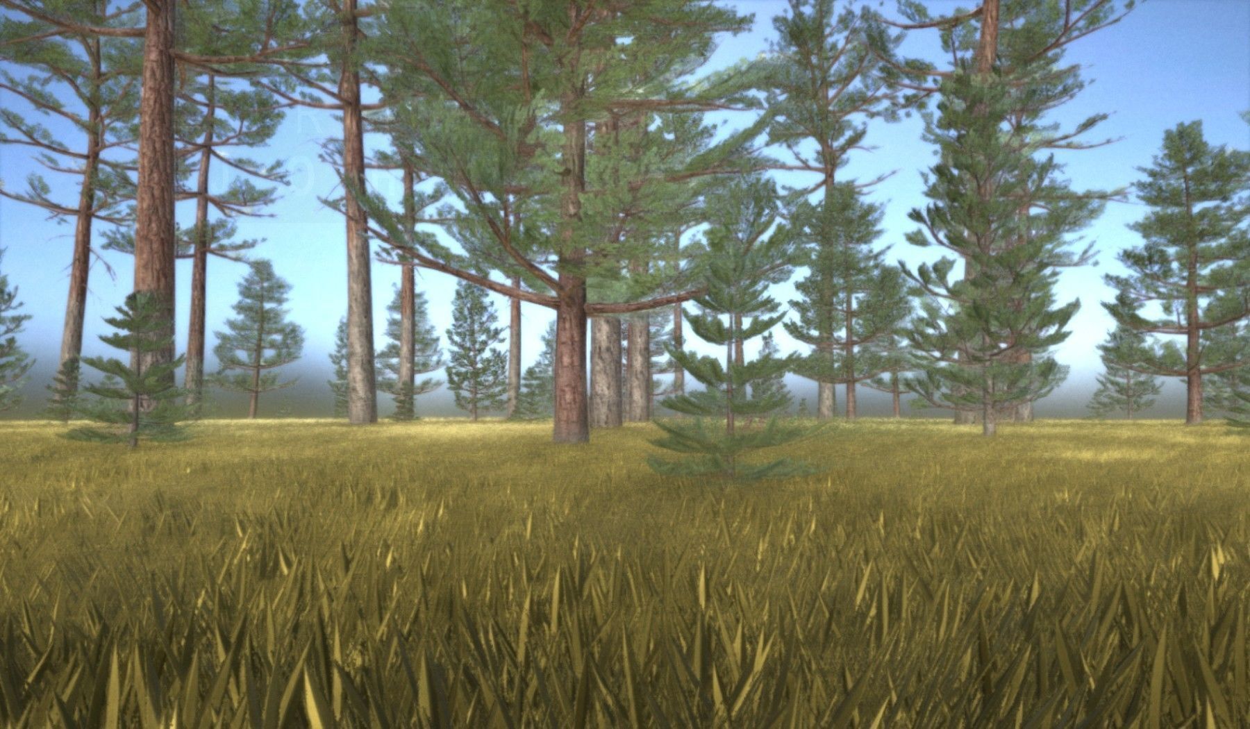 Pine Forest Scene Low-poly 3D model_55