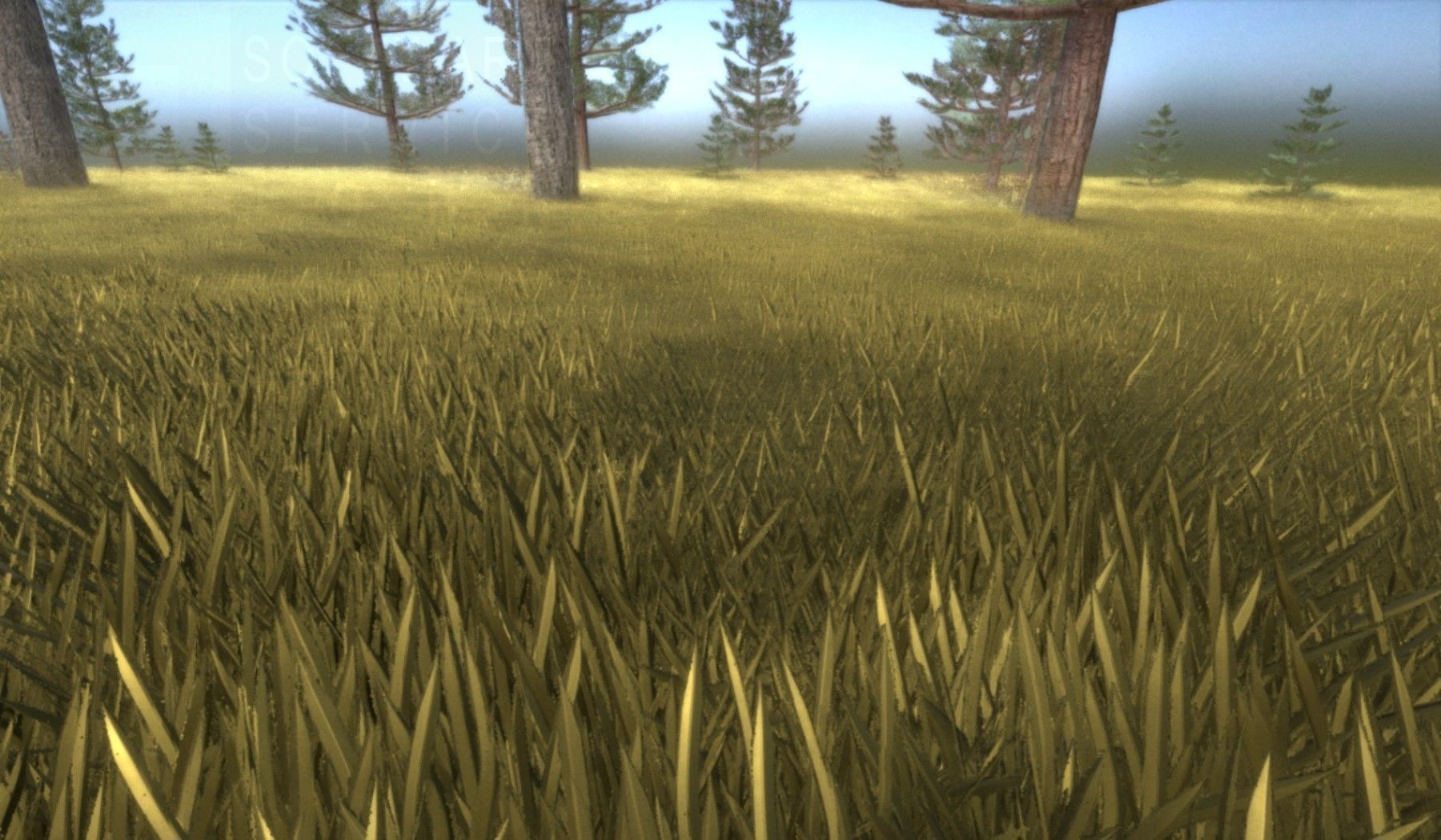 Pine Forest Scene Low-poly 3D model_16