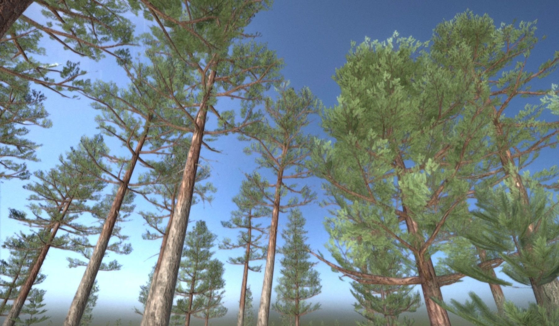 Pine Forest Scene Low-poly 3D model_138