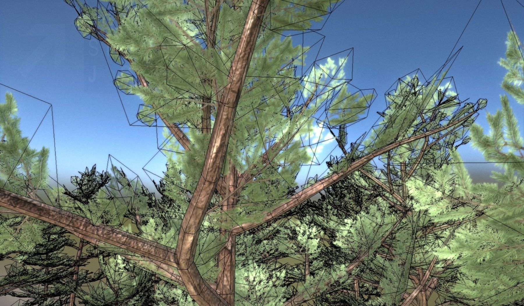 Pine Forest Scene Low-poly 3D model_67