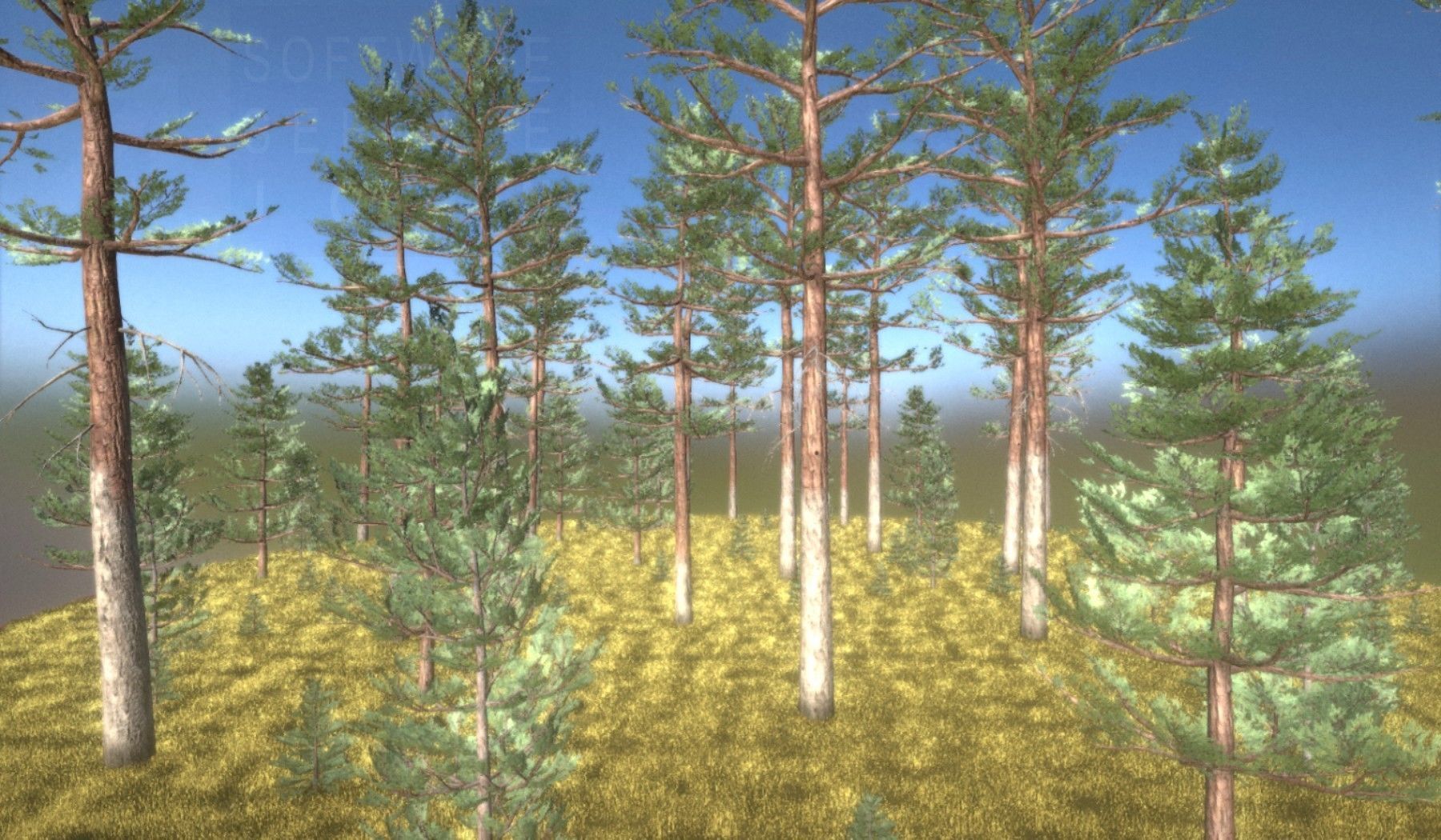 Pine Forest Scene Low-poly 3D model_61