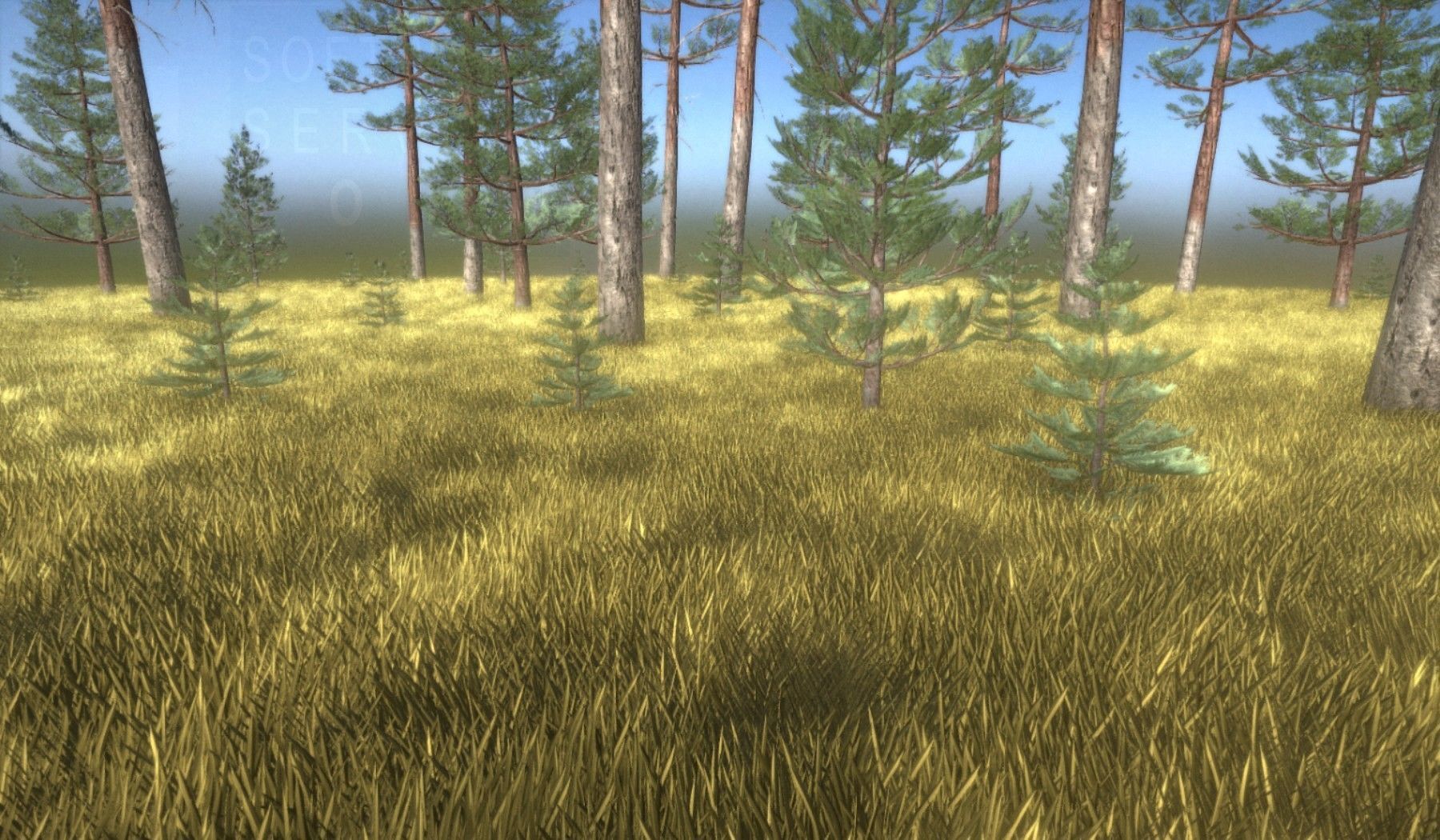 Pine Forest Scene Low-poly 3D model_65