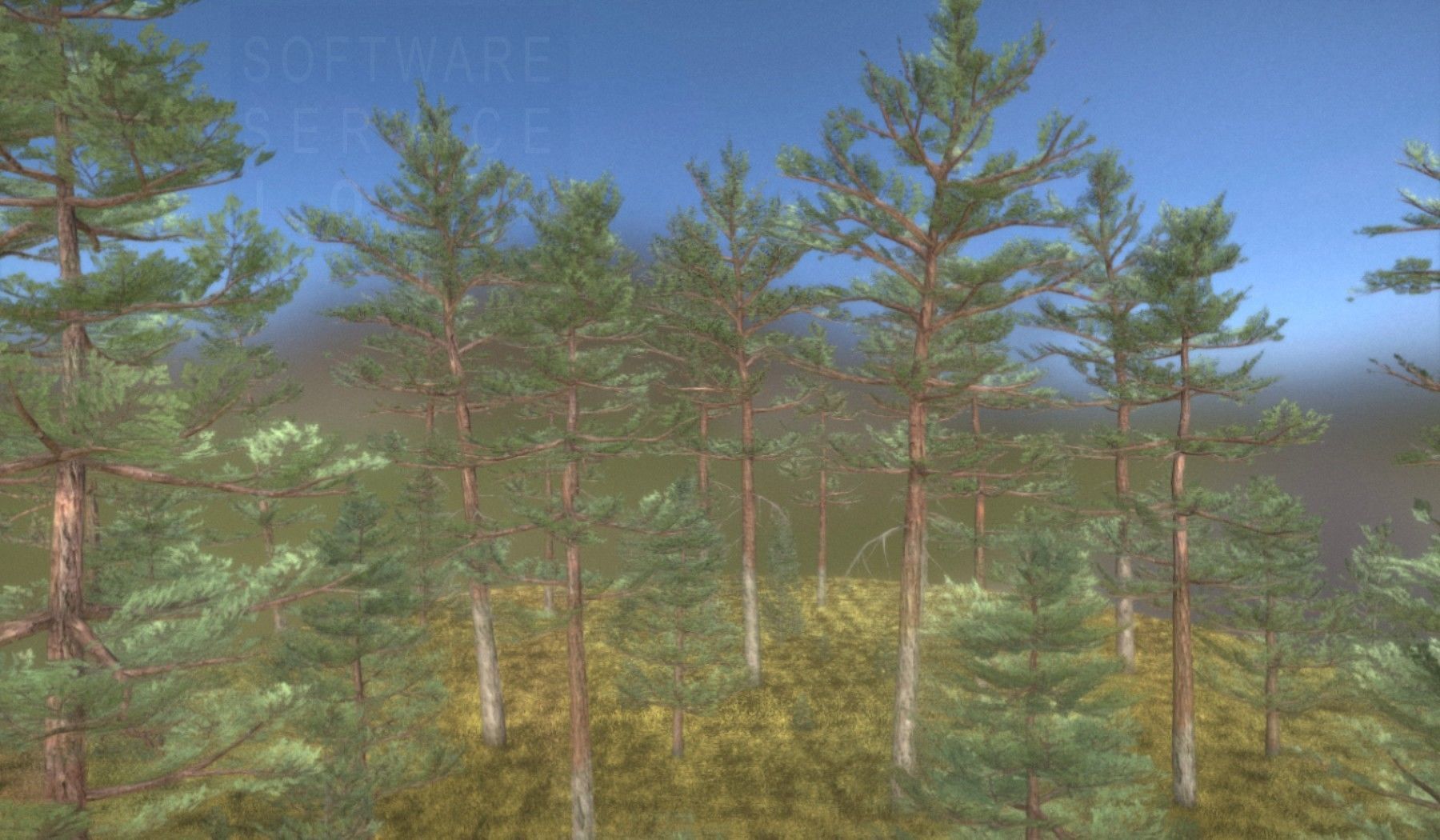 Pine Forest Scene Low-poly 3D model_29