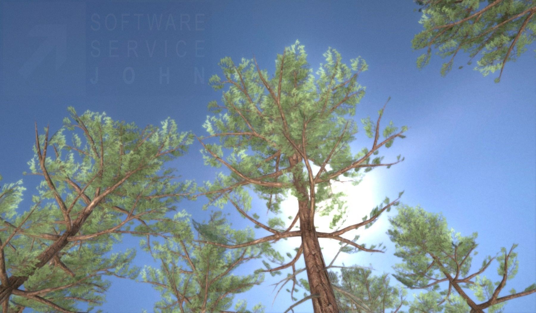 Pine Forest Scene Low-poly 3D model_15