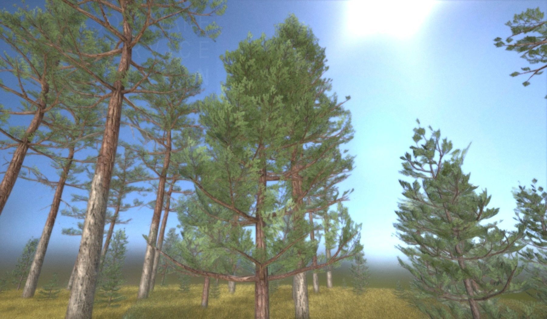 Pine Forest Scene Low-poly 3D model_97