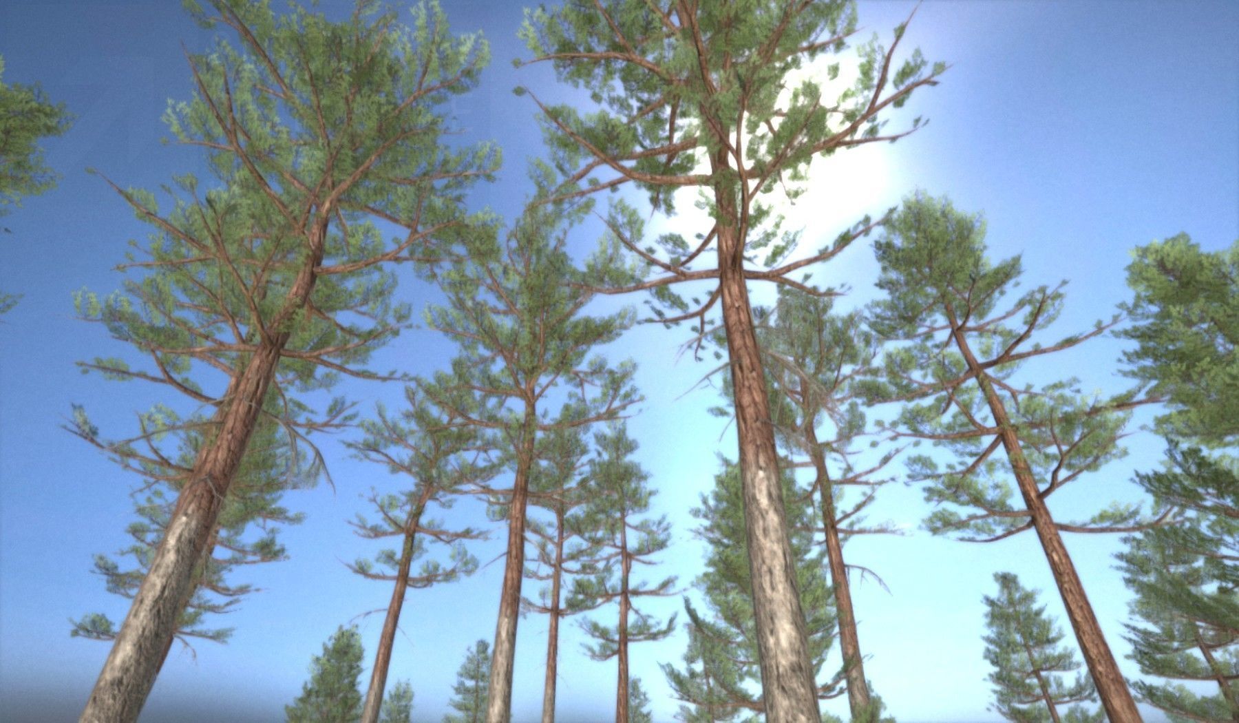 Pine Forest Scene Low-poly 3D model_123