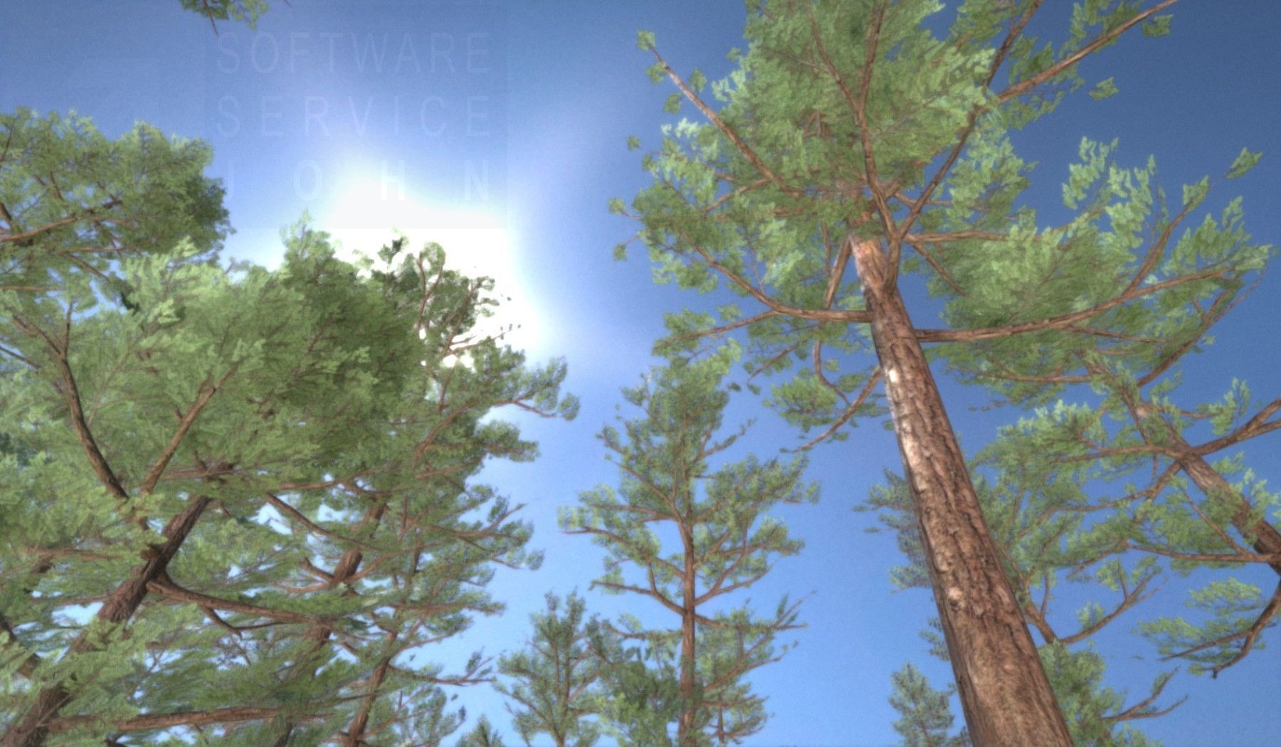 Pine Forest Scene Low-poly 3D model_133