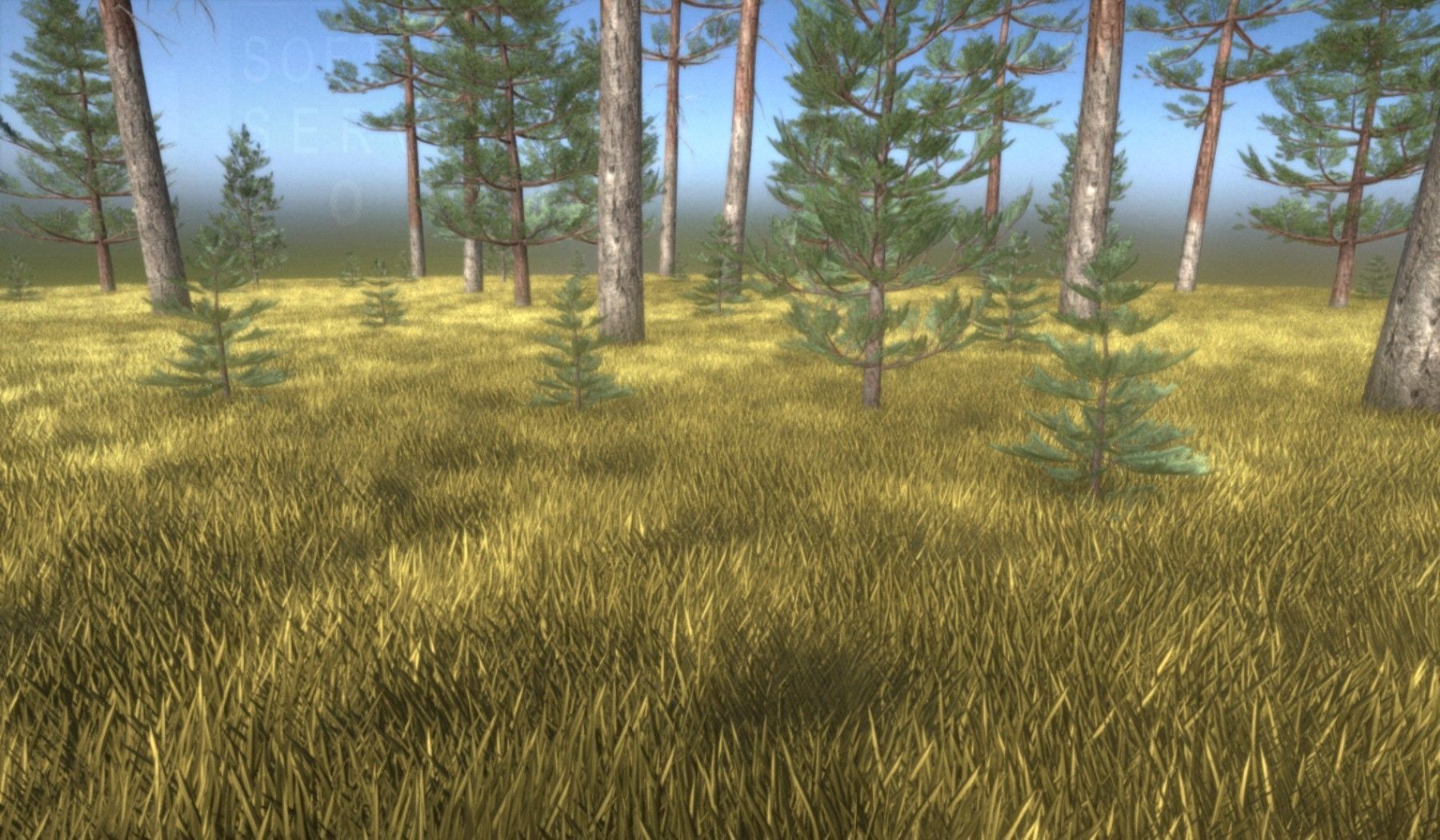Pine Forest Scene Low-poly 3D model_64