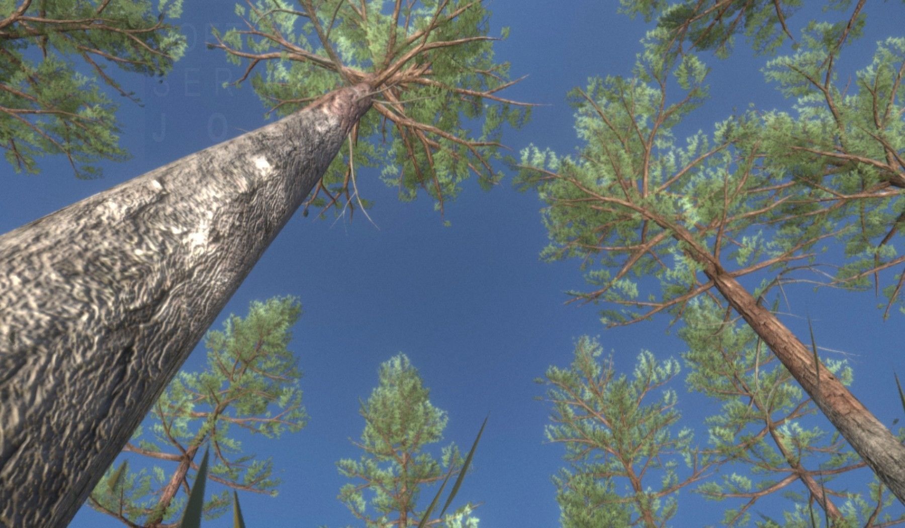 Pine Forest Scene Low-poly 3D model_19