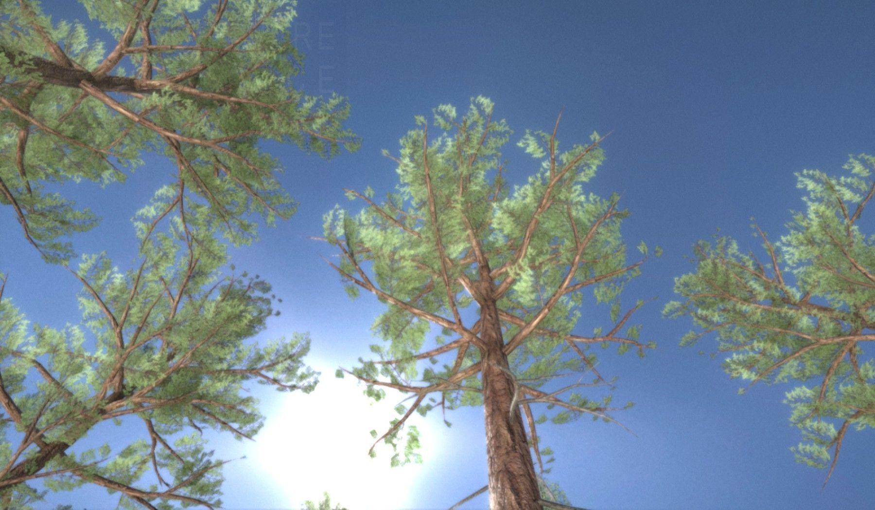 Pine Forest Scene Low-poly 3D model_110