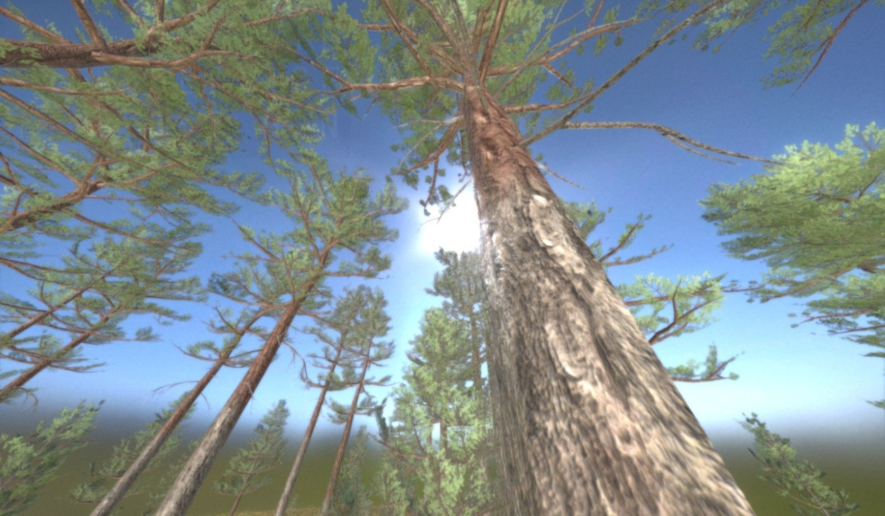 Pine Forest Scene Low-poly 3D model_85