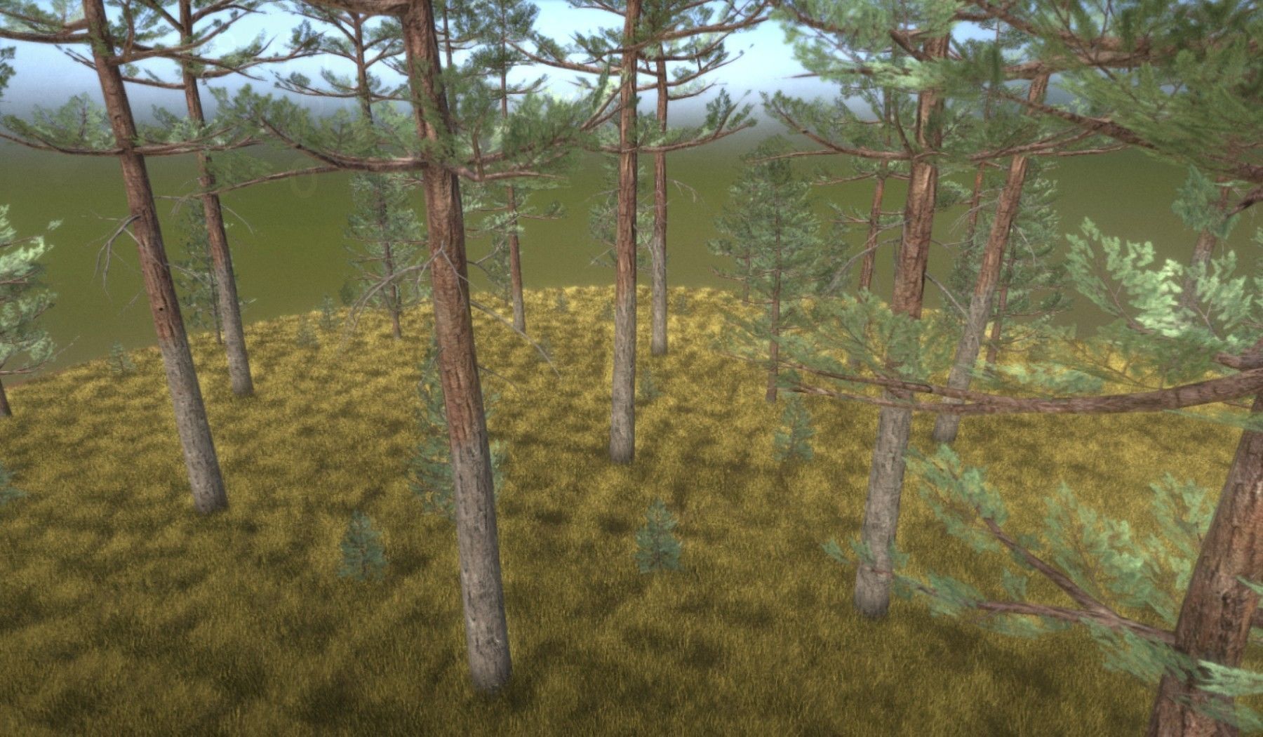 Pine Forest Scene Low-poly 3D model_44
