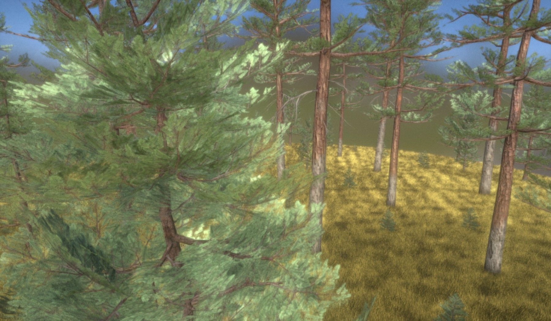 Pine Forest Scene Low-poly 3D model_57