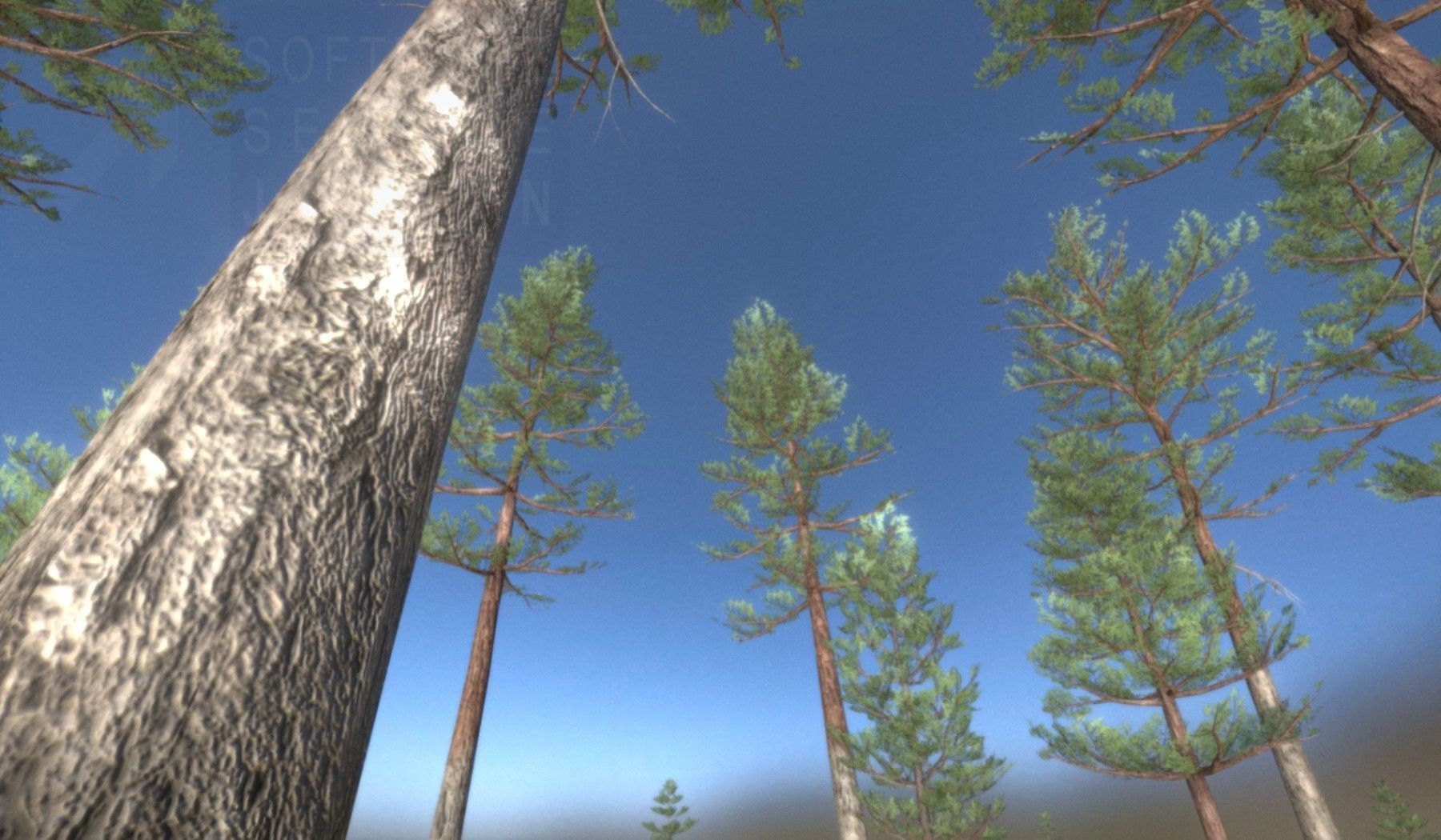 Pine Forest Scene Low-poly 3D model_12