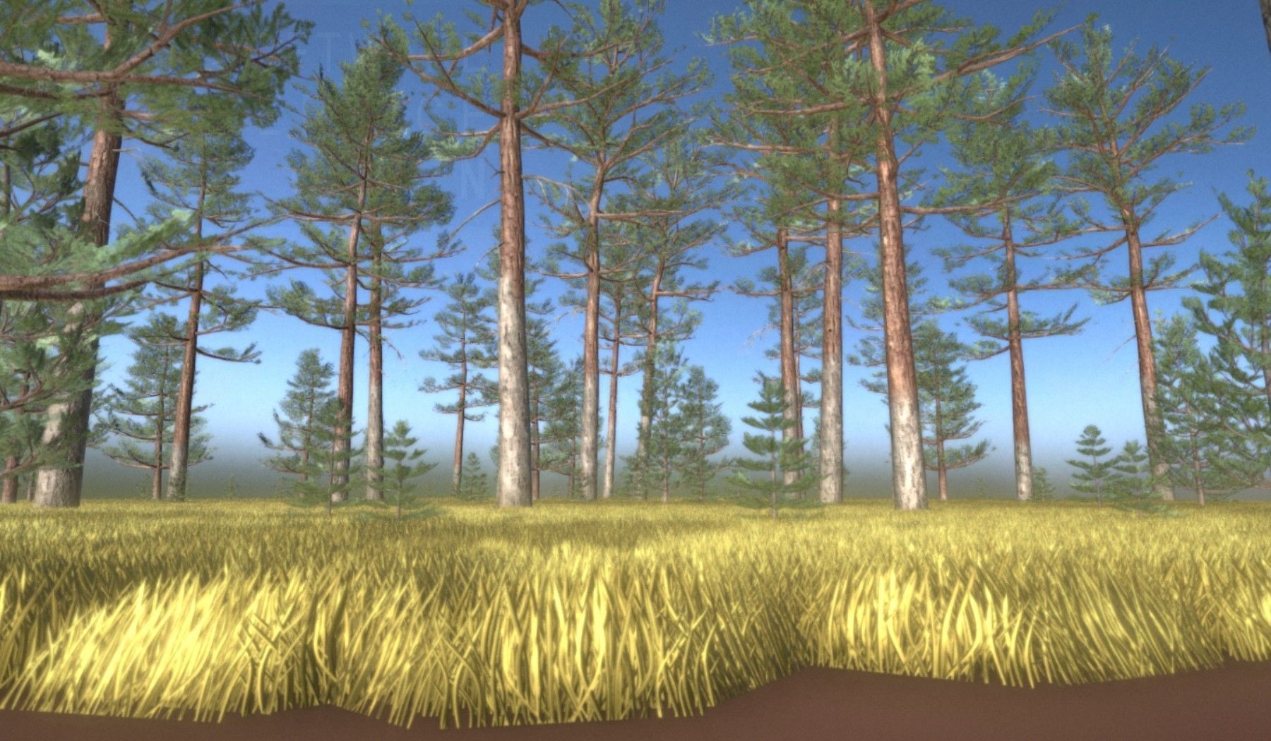 Pine Forest Scene Low-poly 3D model_62
