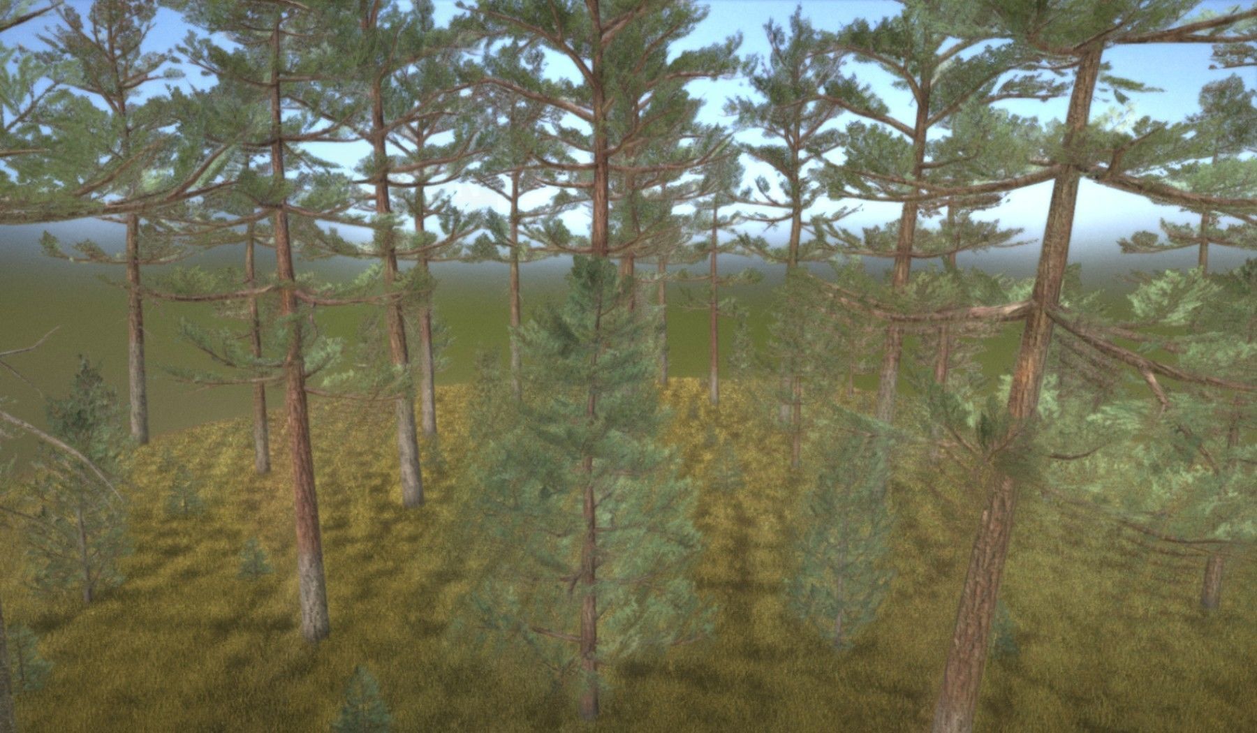 Pine Forest Scene Low-poly 3D model_38