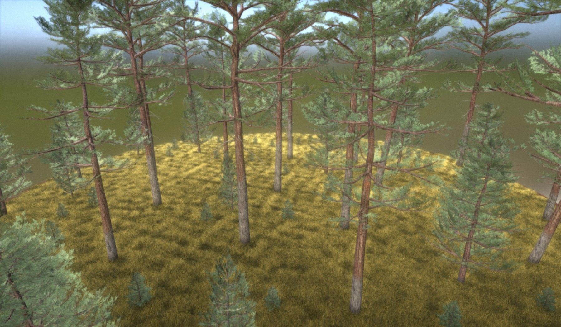 Pine Forest Scene Low-poly 3D model_42