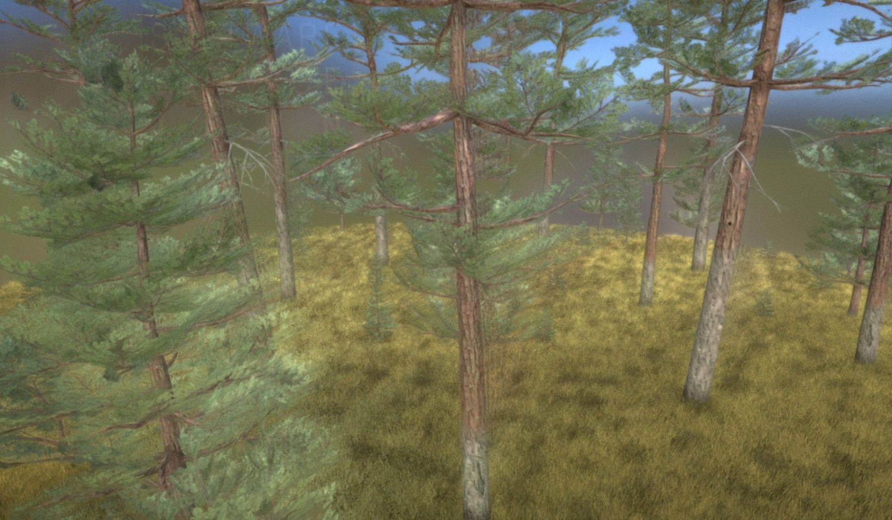 Pine Forest Scene Low-poly 3D model_52