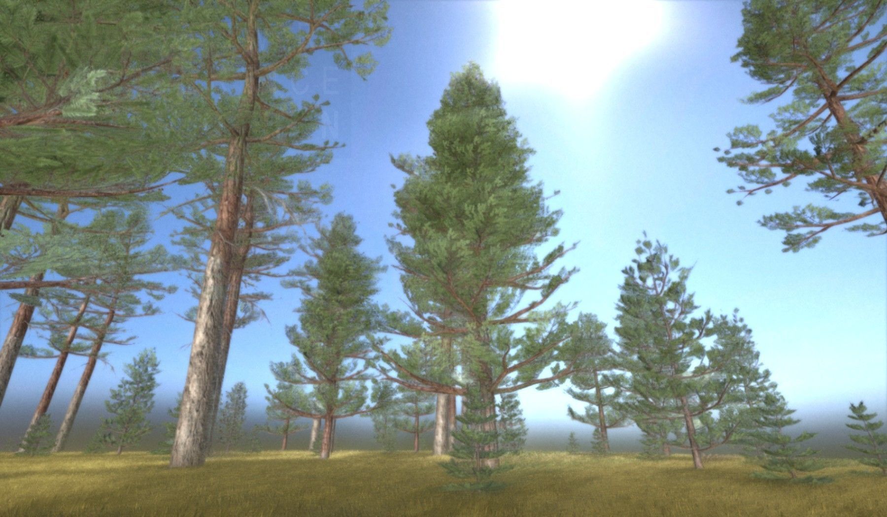 Pine Forest Scene Low-poly 3D model_98