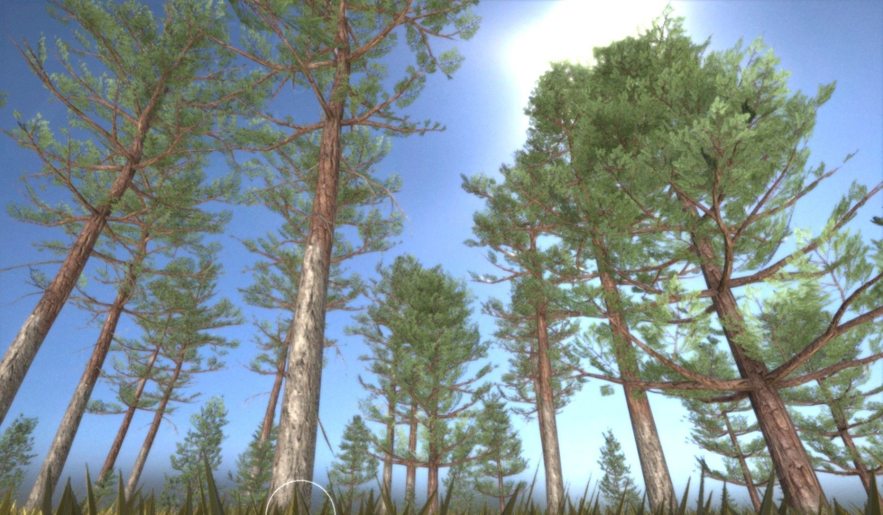 Pine Forest Scene Low-poly 3D model_100
