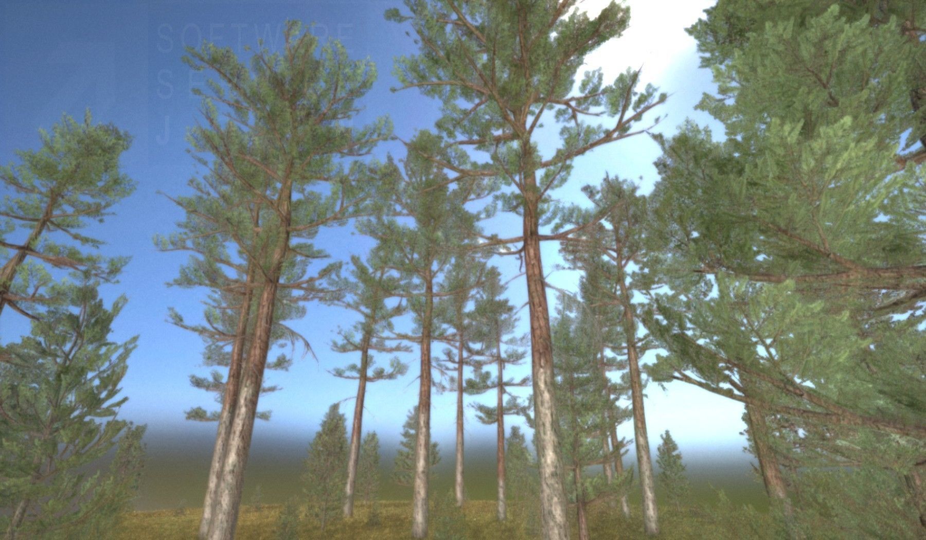Pine Forest Scene Low-poly 3D model_119
