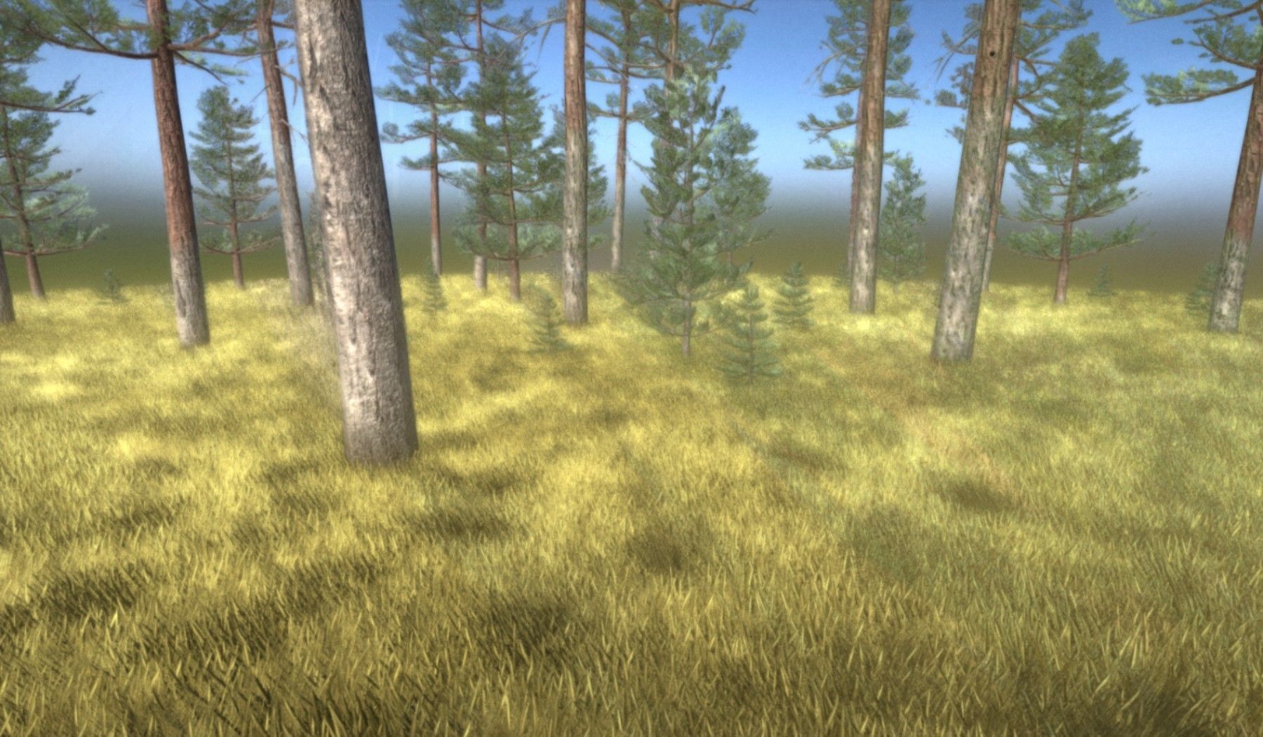 Pine Forest Scene Low-poly 3D model_24