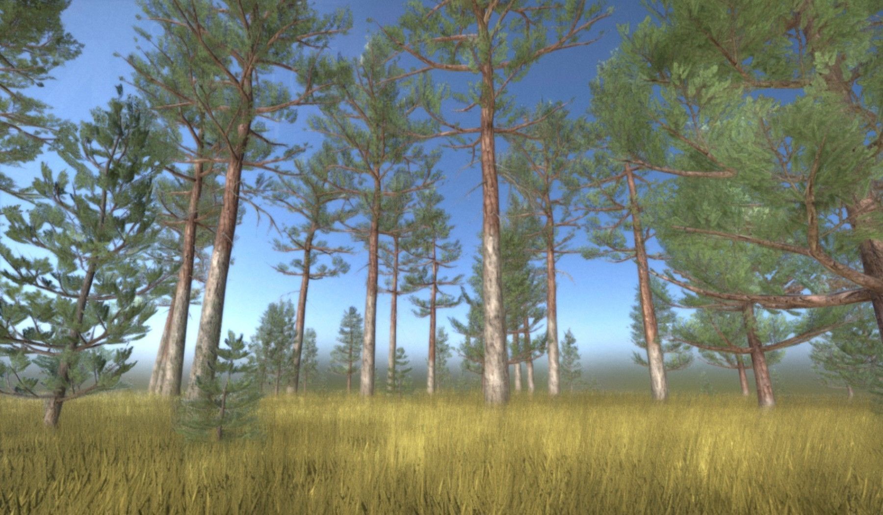 Pine Forest Scene Low-poly 3D model_130