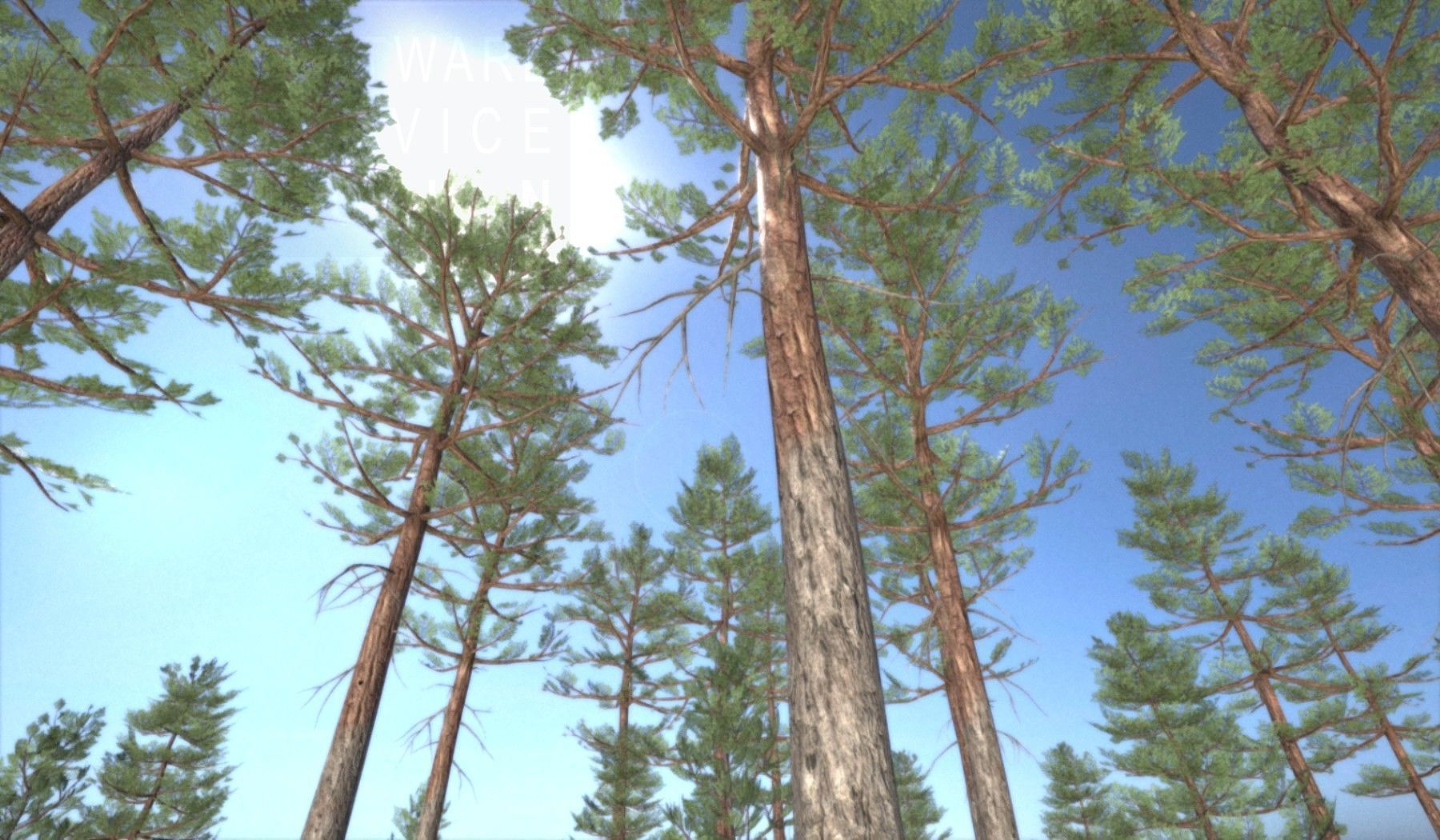 Pine Forest Scene Low-poly 3D model_96