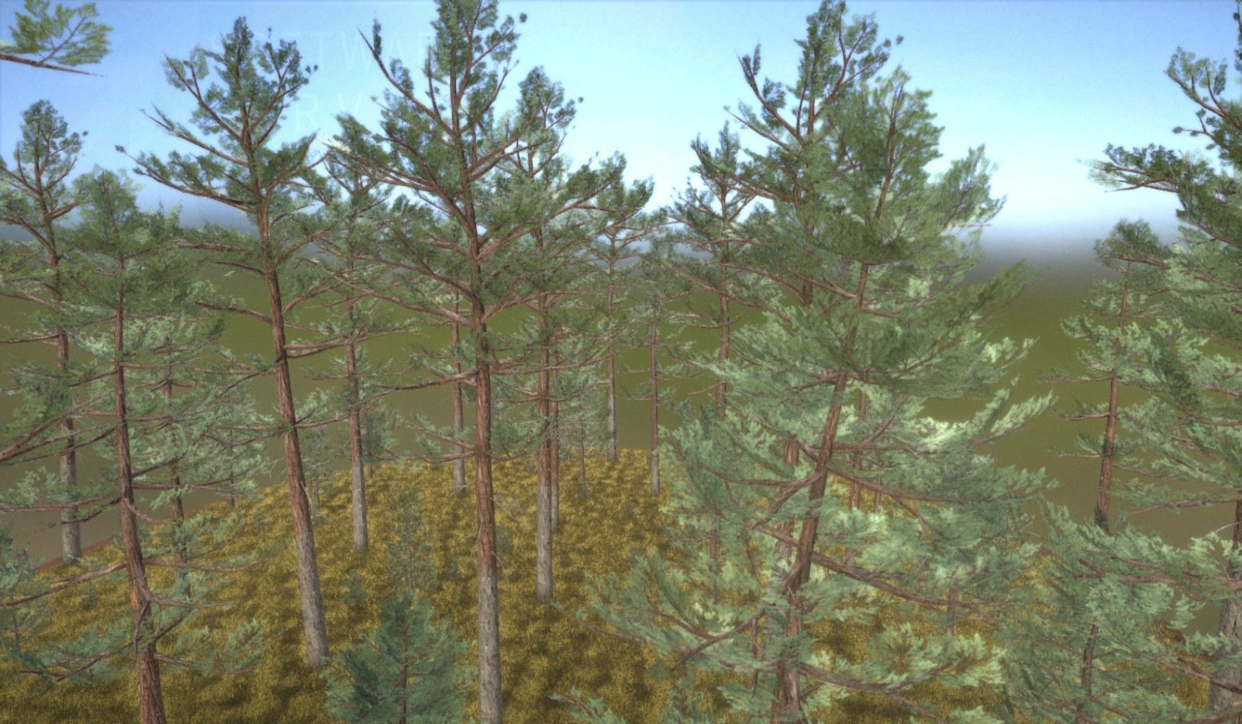 Pine Forest Scene Low-poly 3D model_41