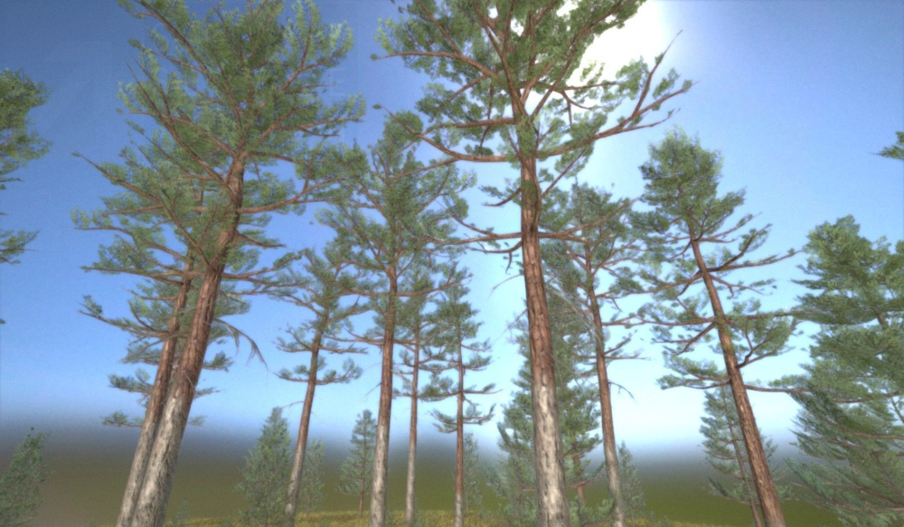 Pine Forest Scene Low-poly 3D model_122