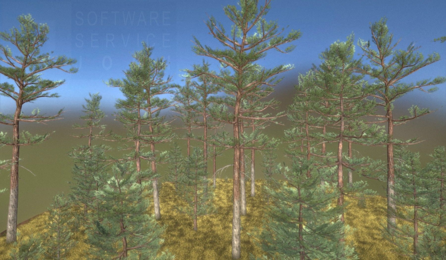 Pine Forest Scene Low-poly 3D model_26