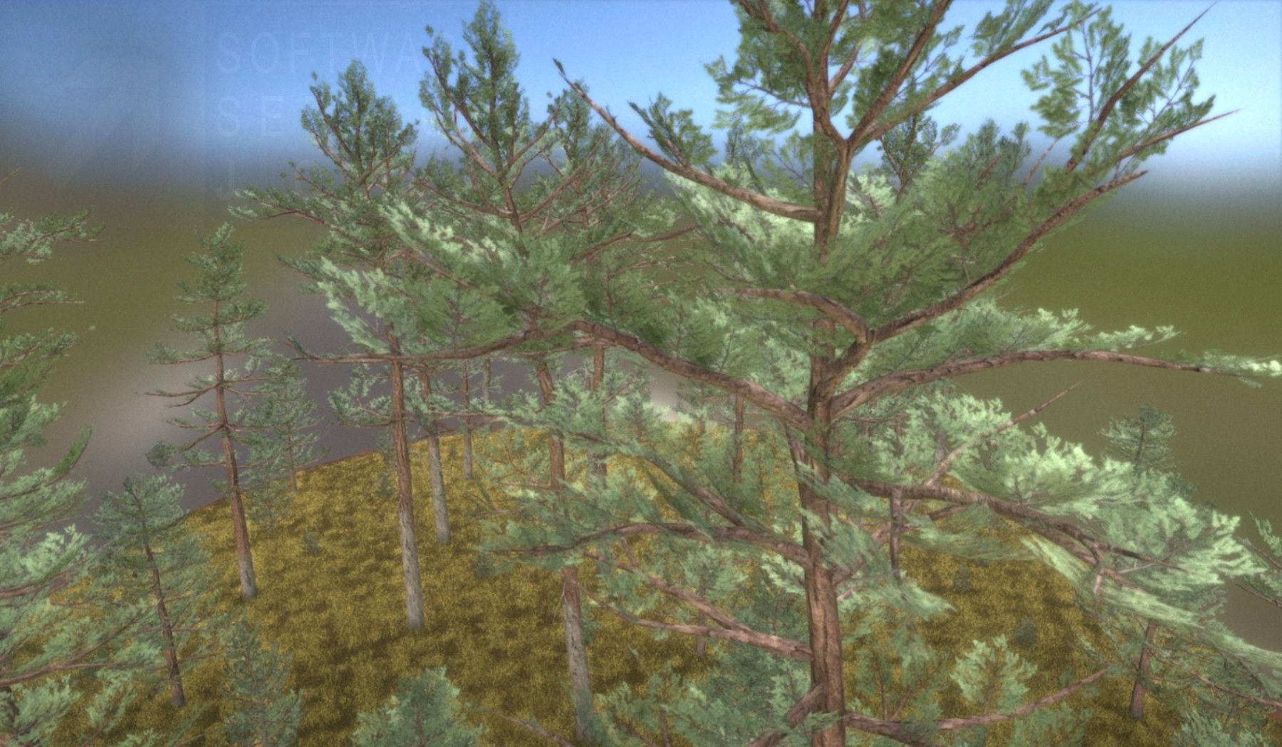 Pine Forest Scene Low-poly 3D model_32