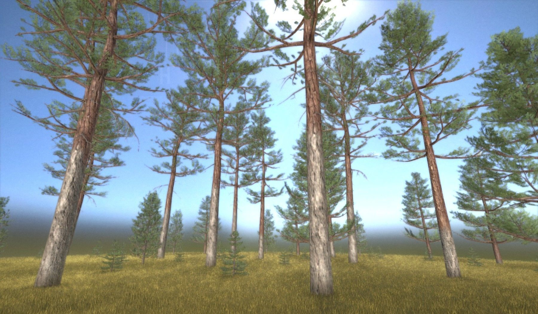 Pine Forest Scene Low-poly 3D model_124