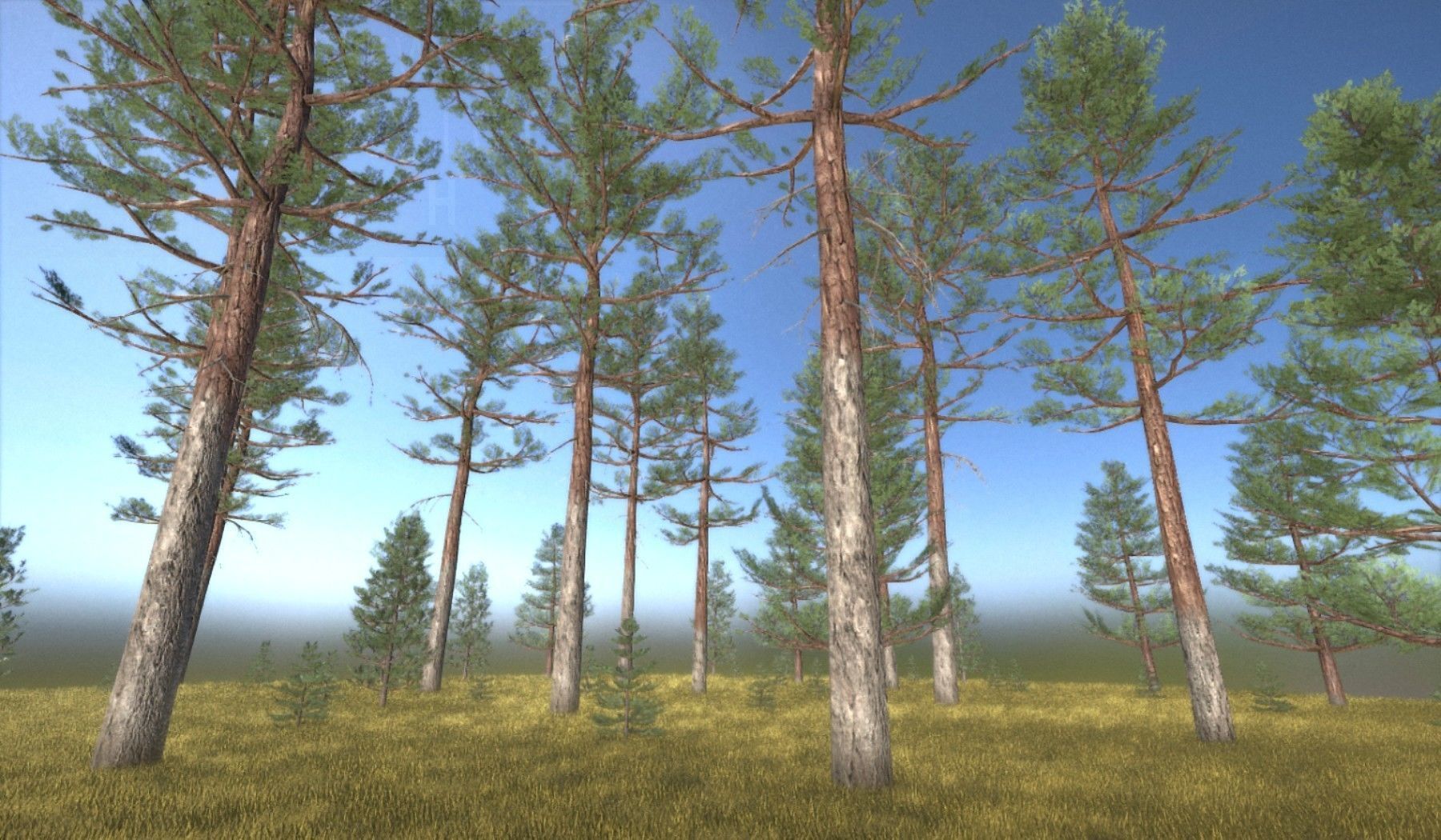 Pine Forest Scene Low-poly 3D model_126