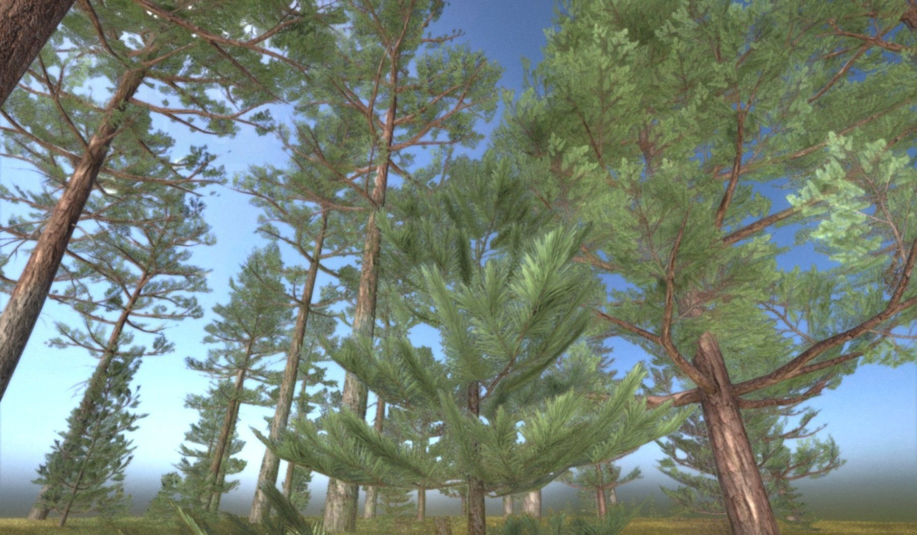 Pine Forest Scene Low-poly 3D model_3