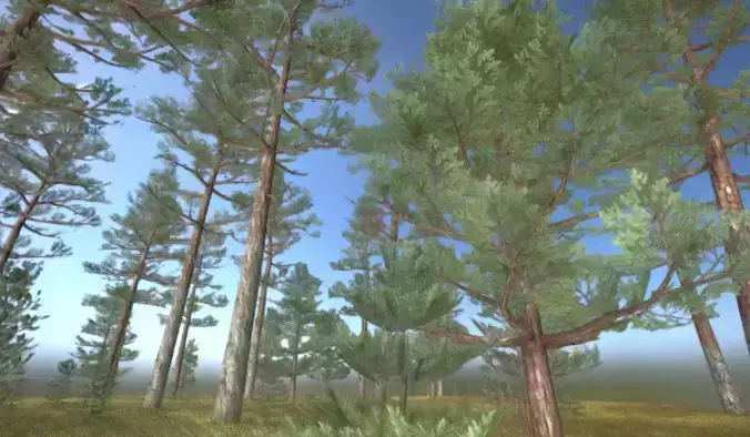 Pine Forest Scene Low-poly 3D model