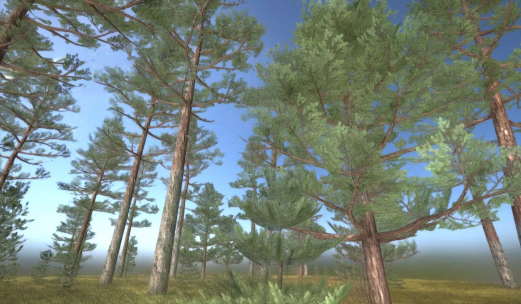 Pine Forest Scene Low-poly 3D model_0