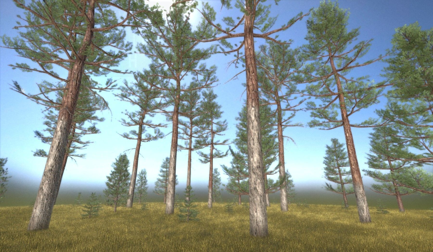 Pine Forest Scene Low-poly 3D model_127
