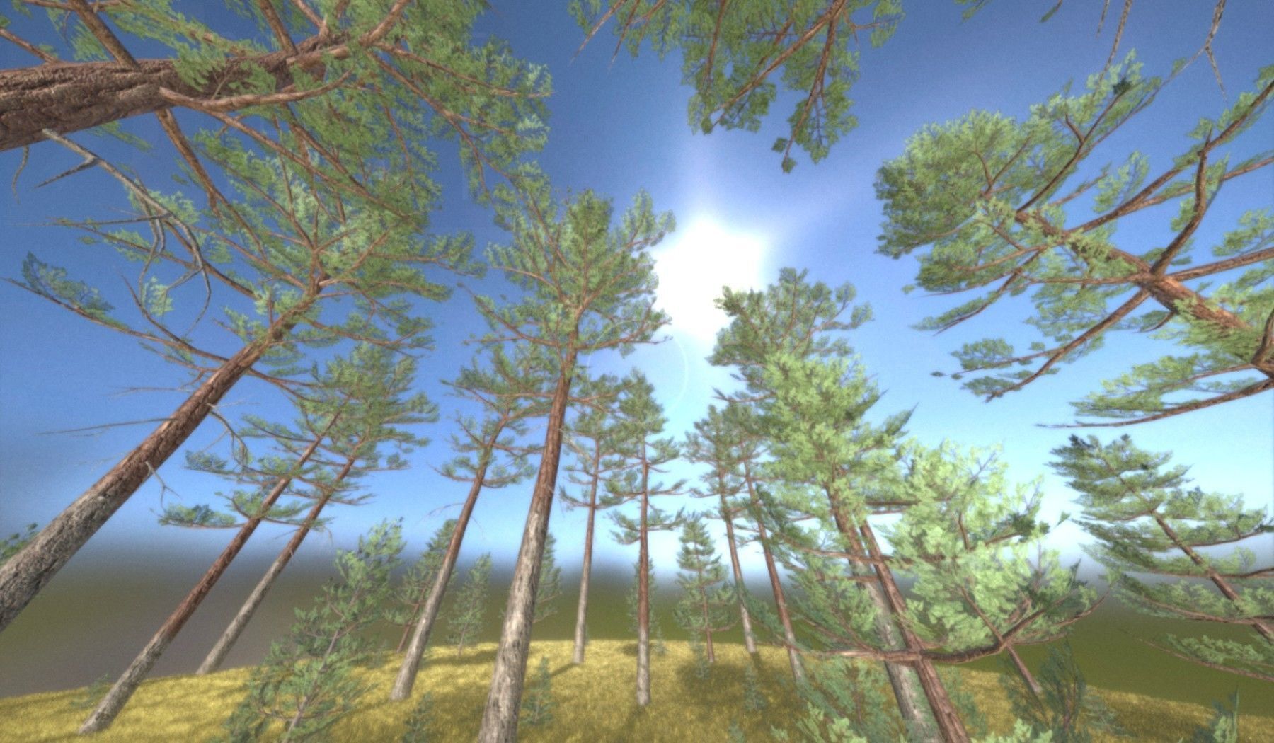 Pine Forest Scene Low-poly 3D model_83