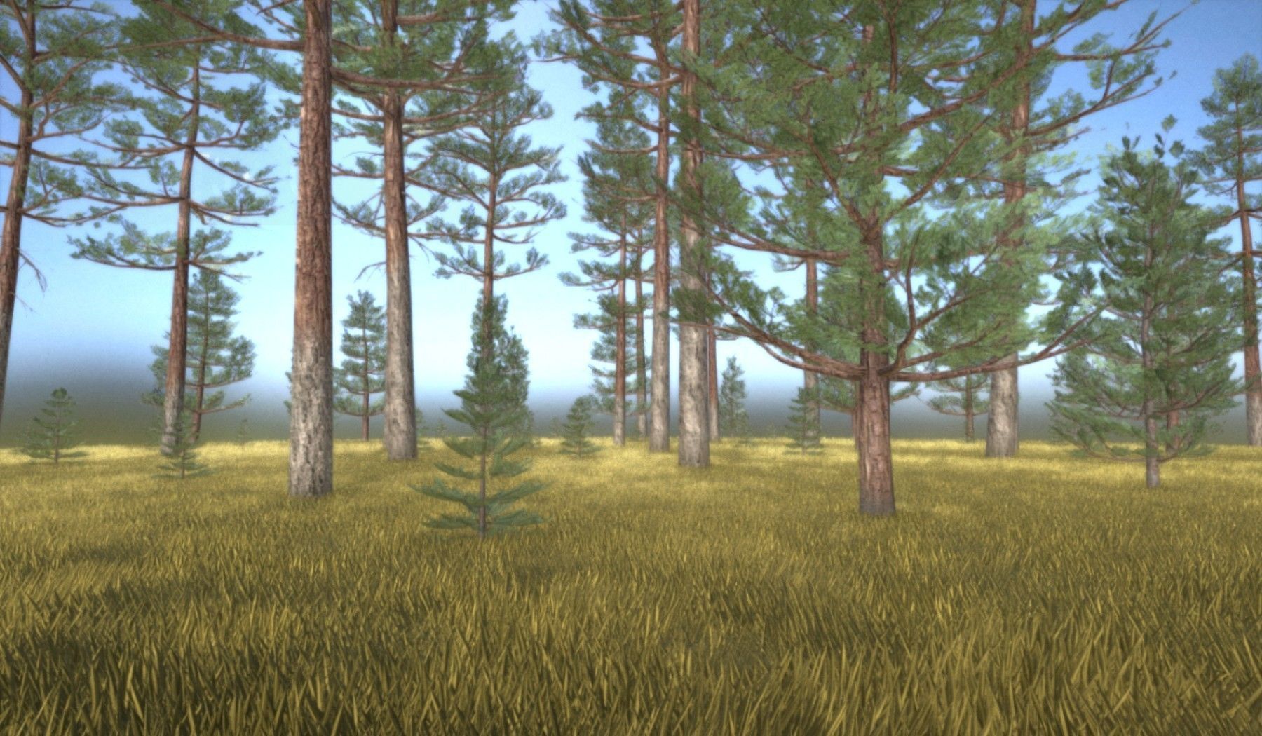 Pine Forest Scene Low-poly 3D model_48