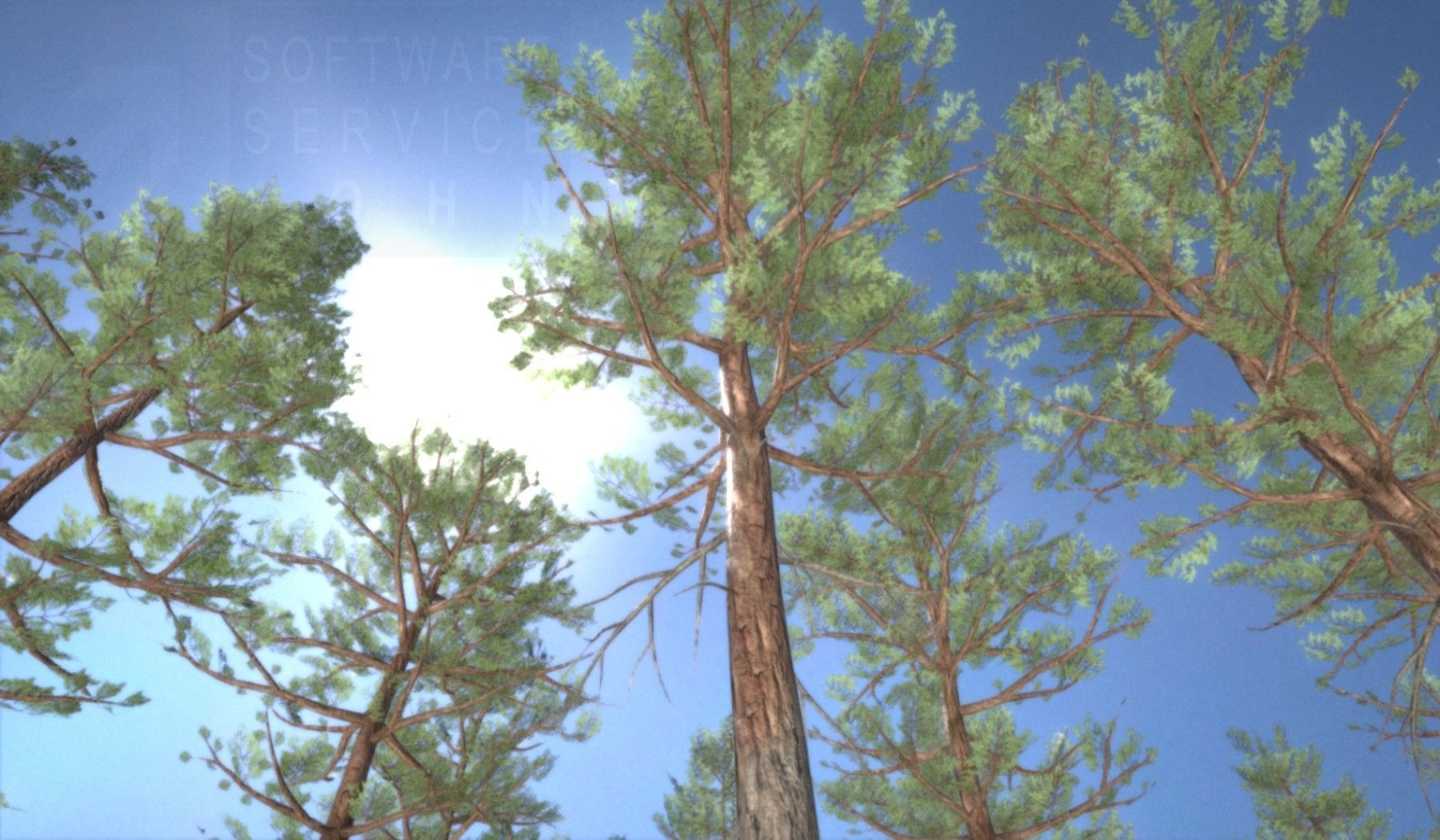 Pine Forest Scene Low-poly 3D model_75