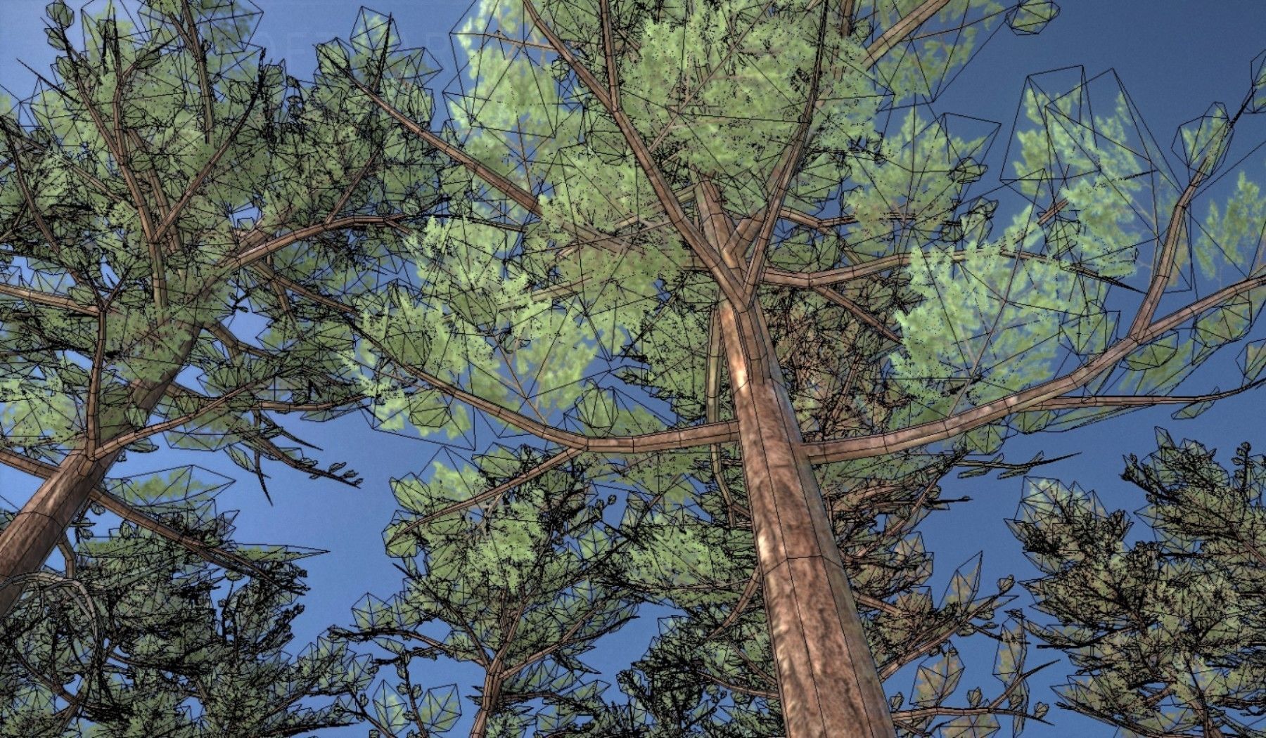 Pine Forest Scene Low-poly 3D model_69