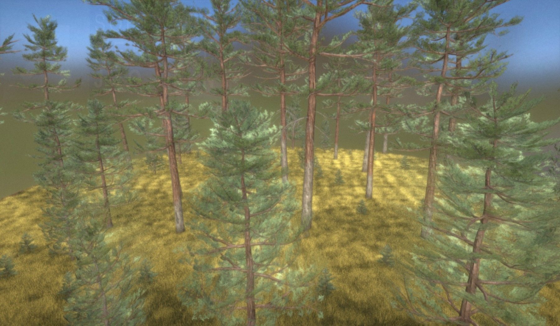 Pine Forest Scene Low-poly 3D model_59