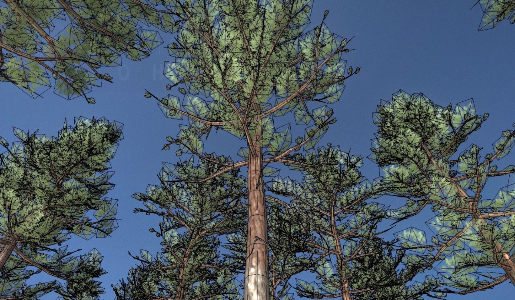 Pine Forest Scene Low-poly 3D model_68