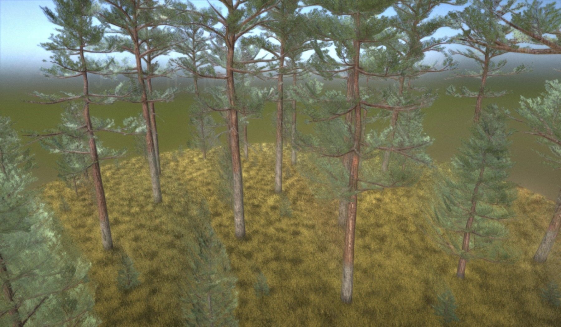 Pine Forest Scene Low-poly 3D model_40