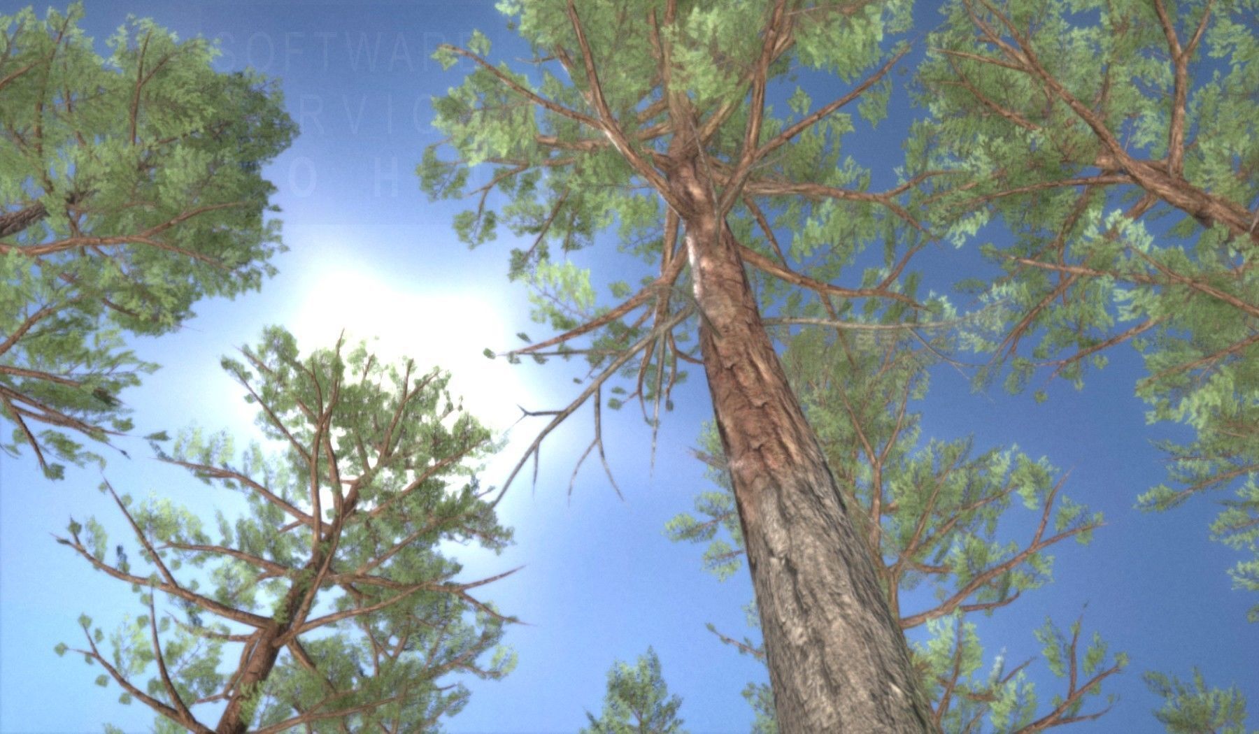 Pine Forest Scene Low-poly 3D model_76