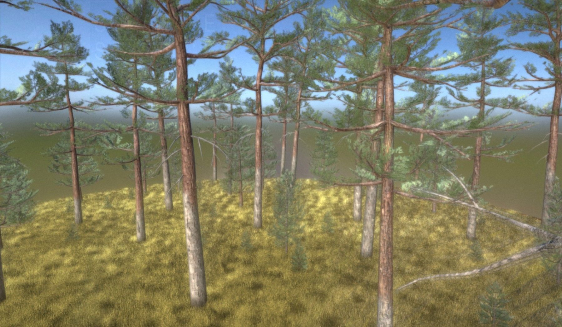 Pine Forest Scene Low-poly 3D model_60
